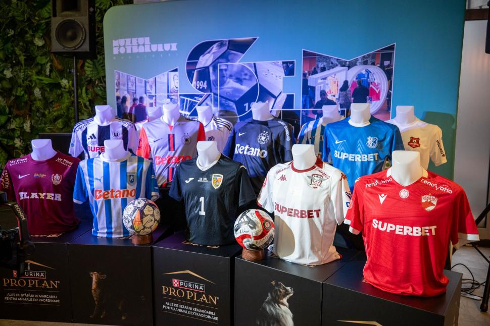 Zeci de mii de euro, strânși pentru câinii din adăposturi la licitația tricourilor de fotbaliști 963008