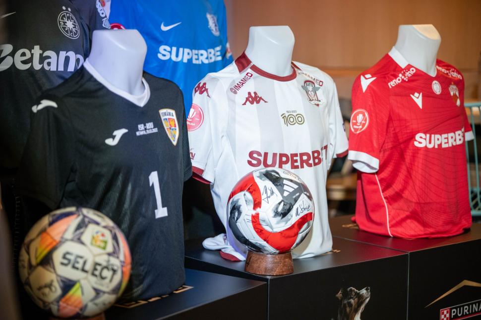 Zeci de mii de euro, strânși pentru câinii din adăposturi la licitația tricourilor de fotbaliști 963011