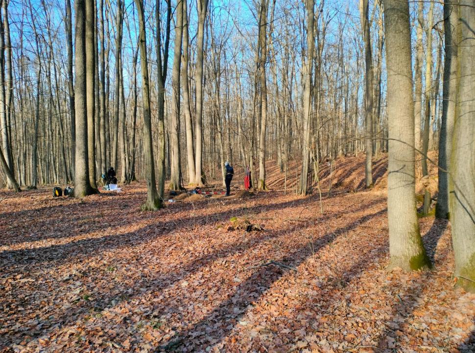 Un profesor a găsit arme şi unelte agricole de fier din perioada medievală într-o pădure din Prahova 963647