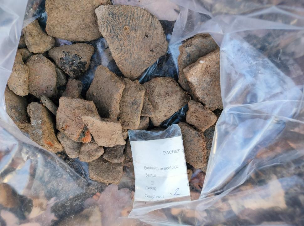 Un profesor a găsit arme şi unelte agricole de fier din perioada medievală într-o pădure din Prahova 963649