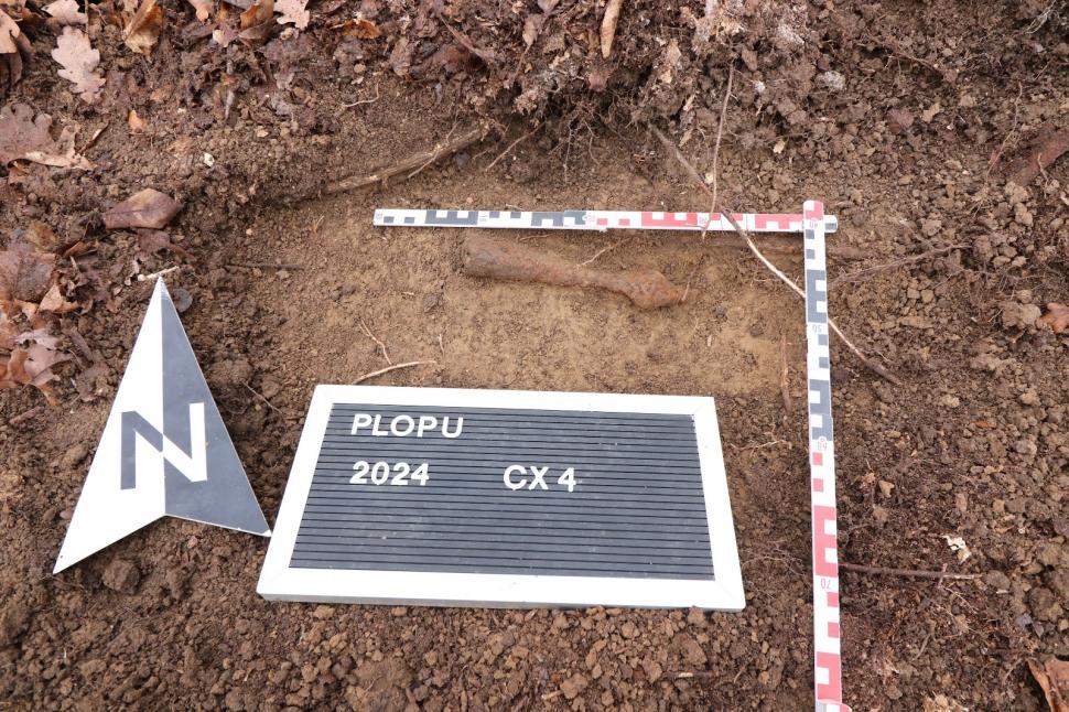 Un profesor a găsit arme şi unelte agricole de fier din perioada medievală într-o pădure din Prahova 963653