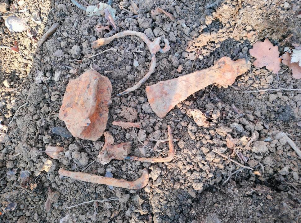 Un profesor a găsit arme şi unelte agricole de fier din perioada medievală într-o pădure din Prahova 963655