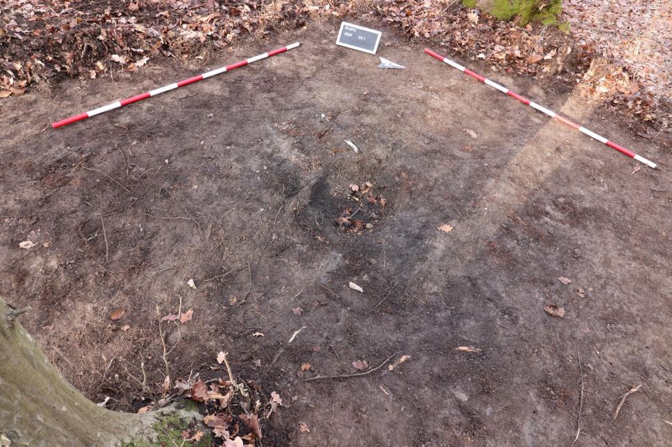 Un profesor a găsit arme şi unelte agricole de fier din perioada medievală într-o pădure din Prahova 963656