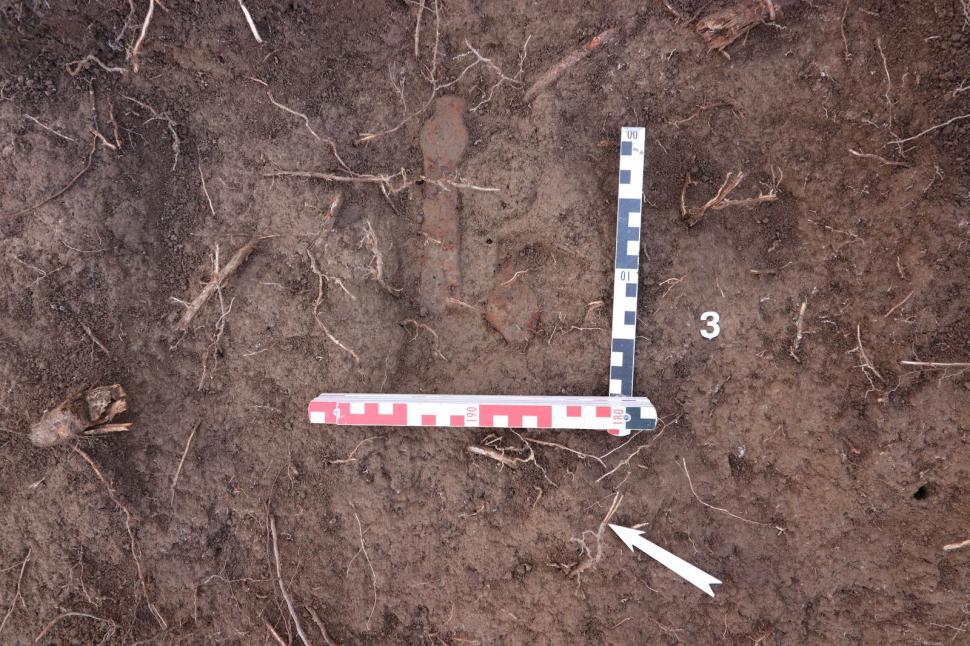 Un profesor a găsit arme şi unelte agricole de fier din perioada medievală într-o pădure din Prahova 963659