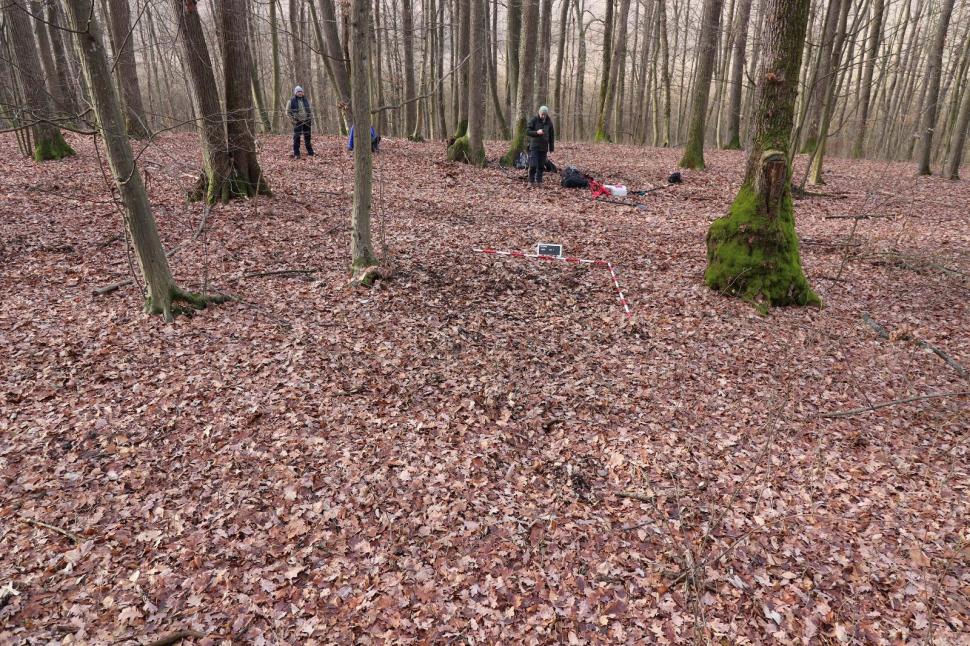 Un profesor a găsit arme şi unelte agricole de fier din perioada medievală într-o pădure din Prahova 963660