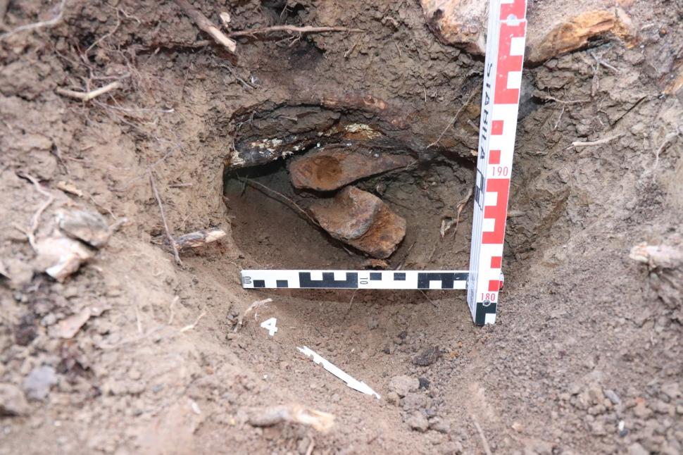 Un profesor a găsit arme şi unelte agricole de fier din perioada medievală într-o pădure din Prahova 963662