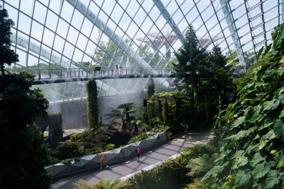 Cum arată cel mai bun aeroport din lume, cu spa și cea mai înaltă cascadă interioară. E a 13-a oară când primește această distincție 963976