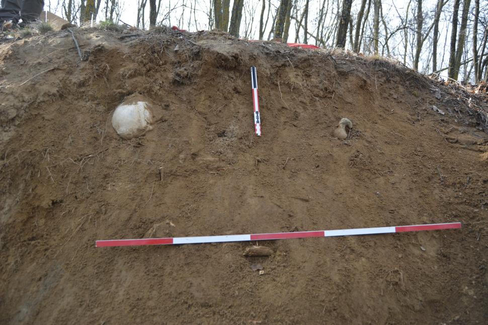 Un bărbat a găsit un craniu uman pe un deal în Prahova, apoi i-a anunțat pe arheologi. Savanții au fost uimiți când i-au aflat vechimea 964099