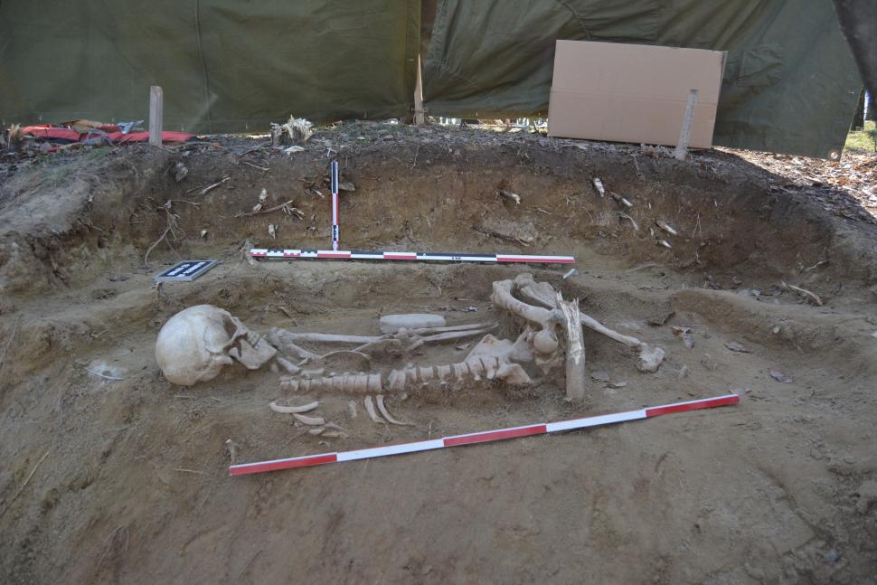 Un bărbat a găsit un craniu uman pe un deal în Prahova, apoi i-a anunțat pe arheologi. Savanții au fost uimiți când i-au aflat vechimea 964100