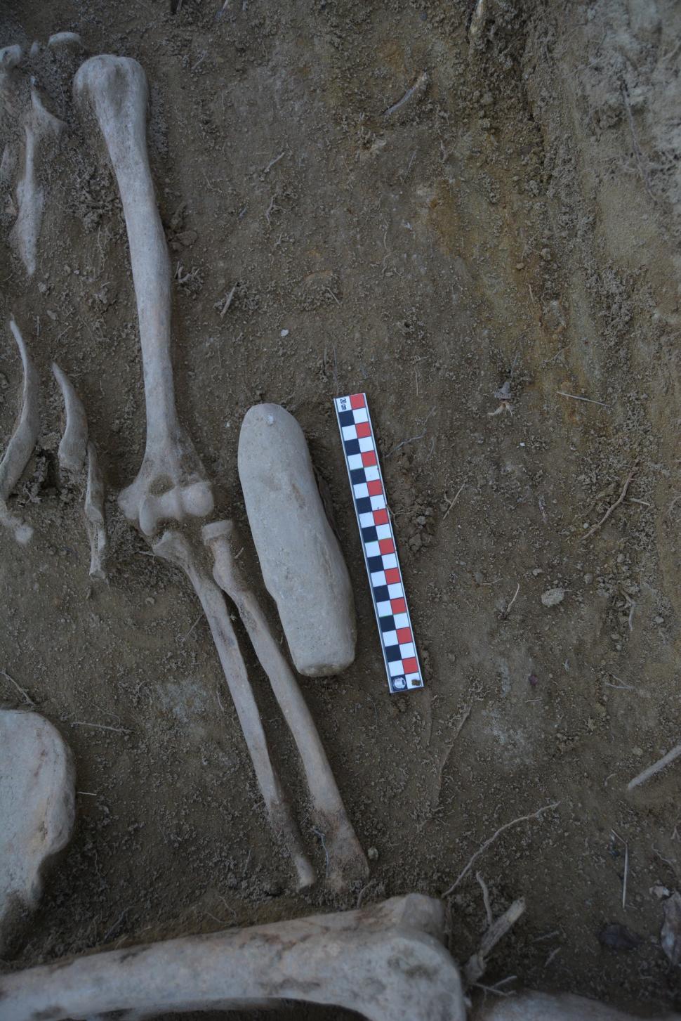 Un bărbat a găsit un craniu uman pe un deal în Prahova, apoi i-a anunțat pe arheologi. Savanții au fost uimiți când i-au aflat vechimea 964101