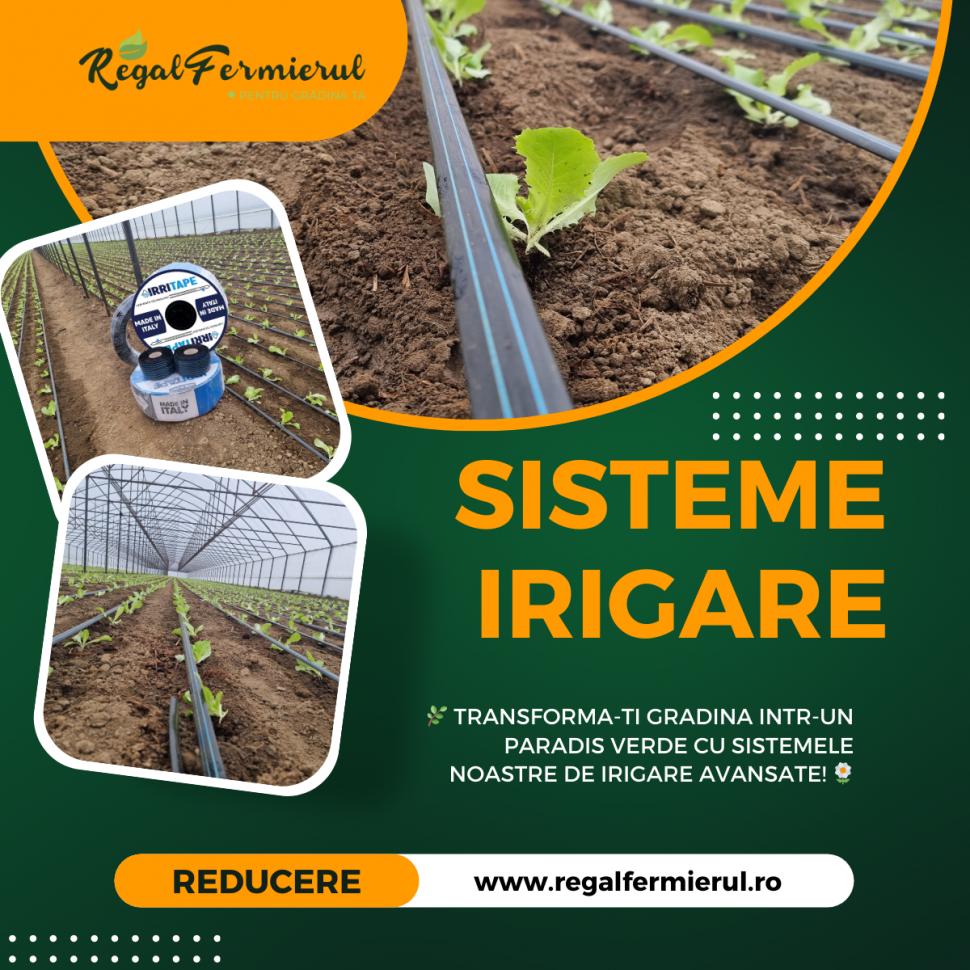 Instalații de picurare – Irigare eficientă și economie de apă  964423