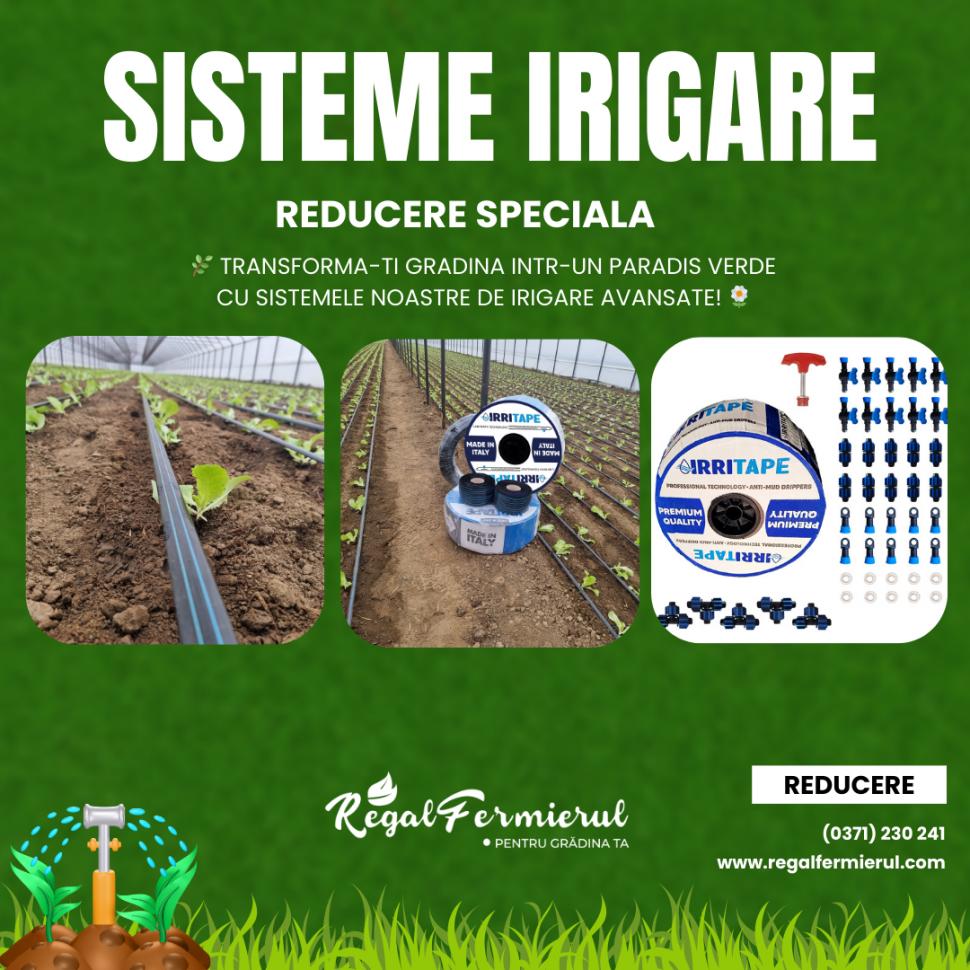 Instalații de picurare – Irigare eficientă și economie de apă  964424