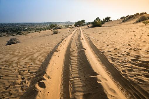 Deșertul care înverzește pe zi ce trece. Oamenii de știință au aflat ce s-a întâmplat 964215