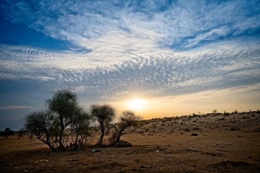 Deșertul care înverzește pe zi ce trece. Oamenii de știință au aflat ce s-a întâmplat 964216