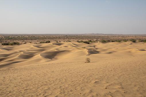 Deșertul care înverzește pe zi ce trece. Oamenii de știință au aflat ce s-a întâmplat 964221