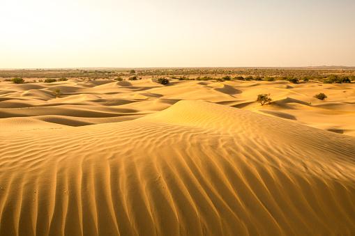 Deșertul care înverzește pe zi ce trece. Oamenii de știință au aflat ce s-a întâmplat 964222