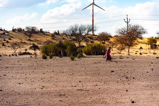 Deșertul care înverzește pe zi ce trece. Oamenii de știință au aflat ce s-a întâmplat 964224