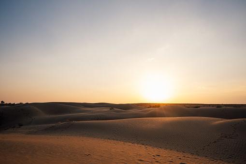 Deșertul care înverzește pe zi ce trece. Oamenii de știință au aflat ce s-a întâmplat 964228