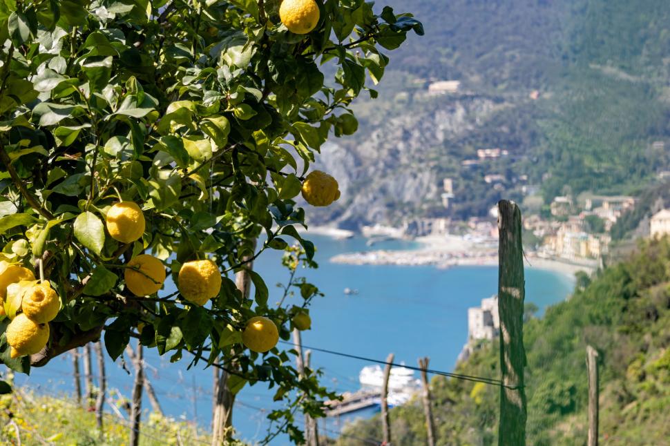 O destinație de vacanță preferată de români îi amendează cu până la 2.500 de euro pe turiștii care se duc acolo în șlapi 964737