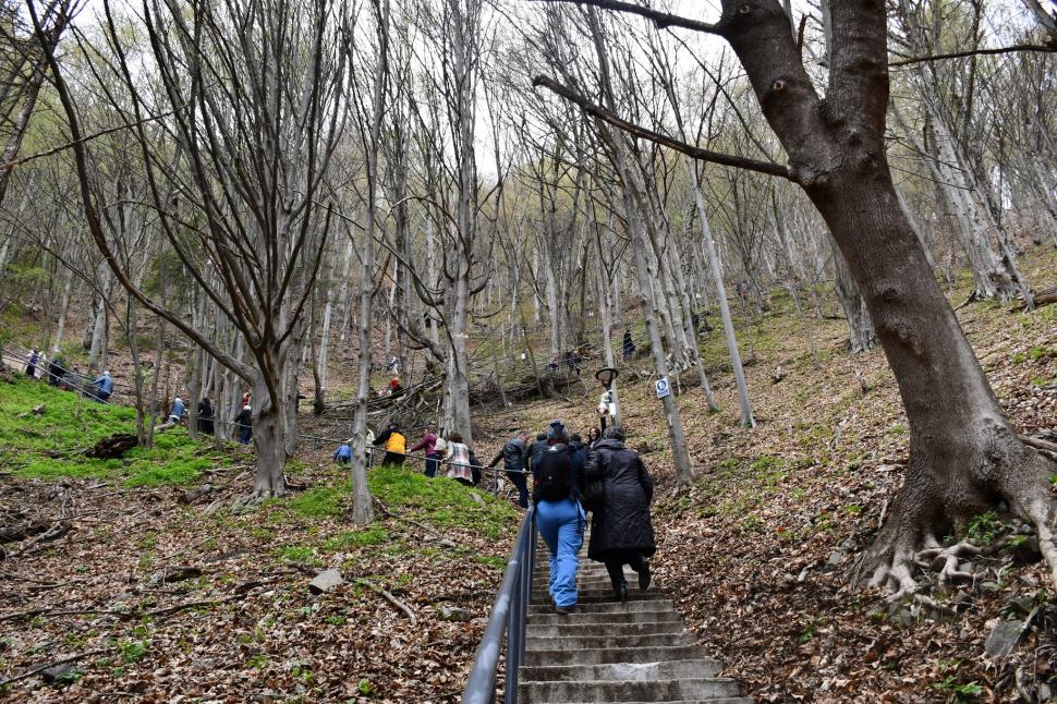 Cetatea lui Vlad Țepeș din Argeș își redeschide porțile după trei ani de renovări. Cum arată acum vestigiul 964885