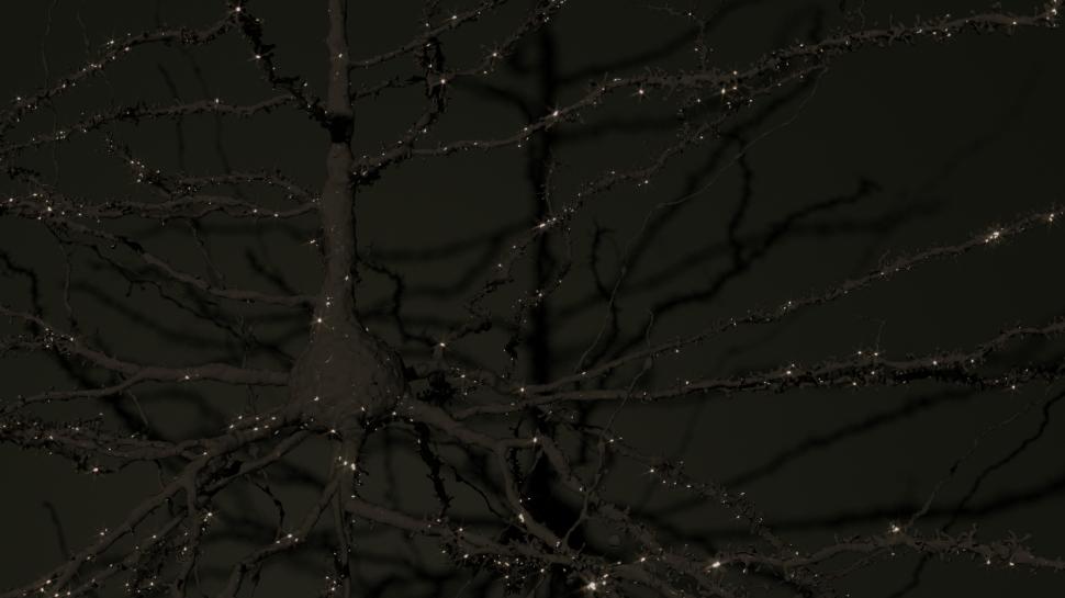 Progres major în neuroștiință, considerat cândva imposibil: Prima hartă exactă 3D a creierului. Cum arată 5,4 km de „cabluri” neuronale 965252