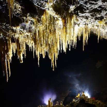 Se redeschide „grădiniţa de lilieci" de la Luşca. De mamifere are grijă un preot speolog: „Nu sunt dracul gol cu aripi negre” 965877