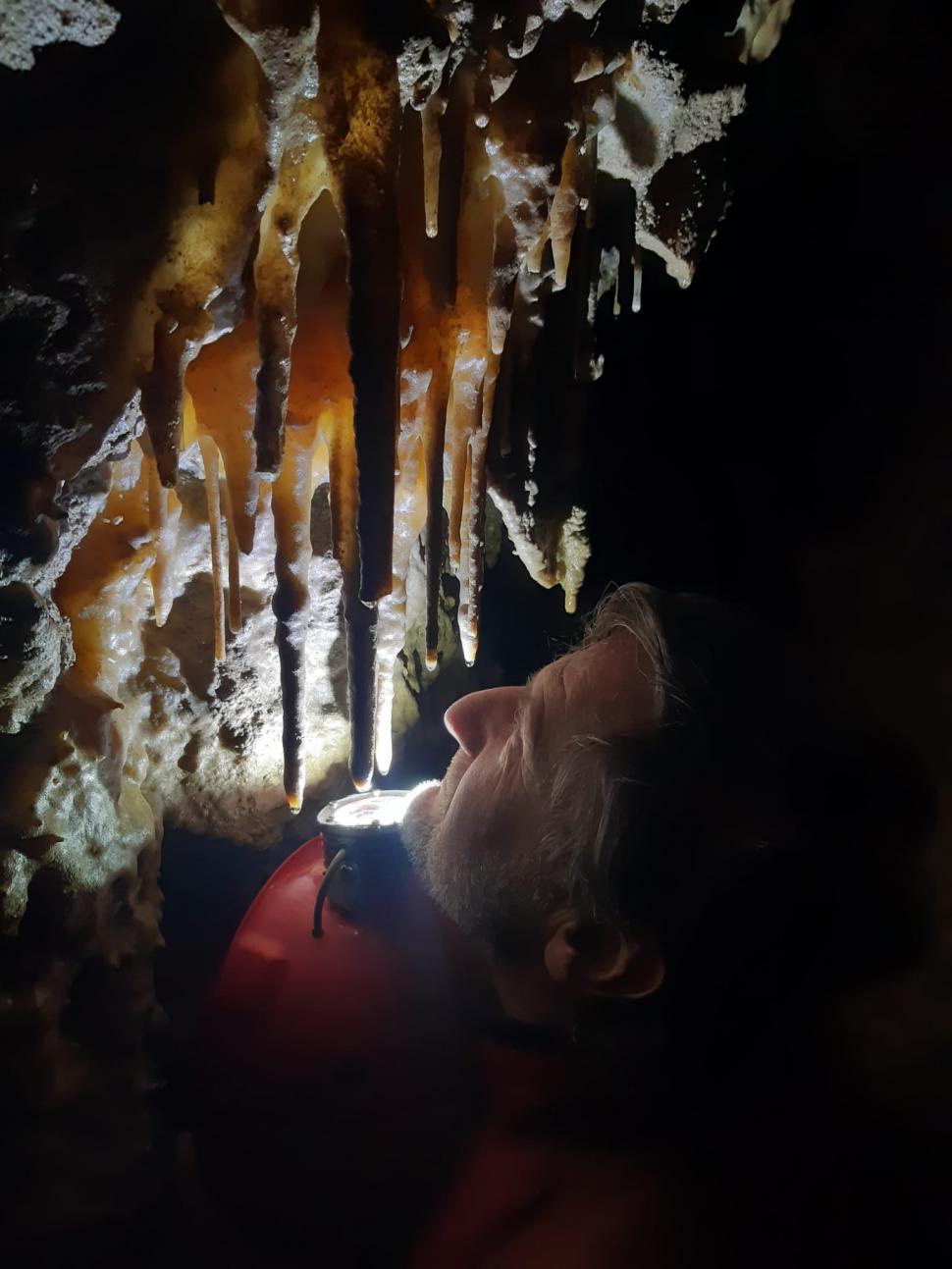 Se redeschide „grădiniţa de lilieci" de la Luşca. De mamifere are grijă un preot speolog: „Nu sunt dracul gol cu aripi negre” 965890