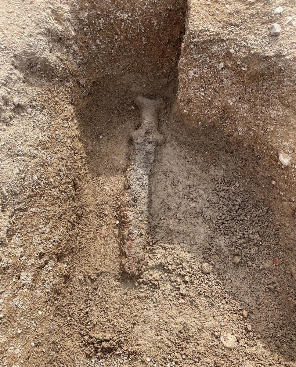 Descoperire arheologică remarcabilă într-o necropolă celtică: Bijuterii și arme din Epoca Fierului au fost găsite în stare excepțională 966197