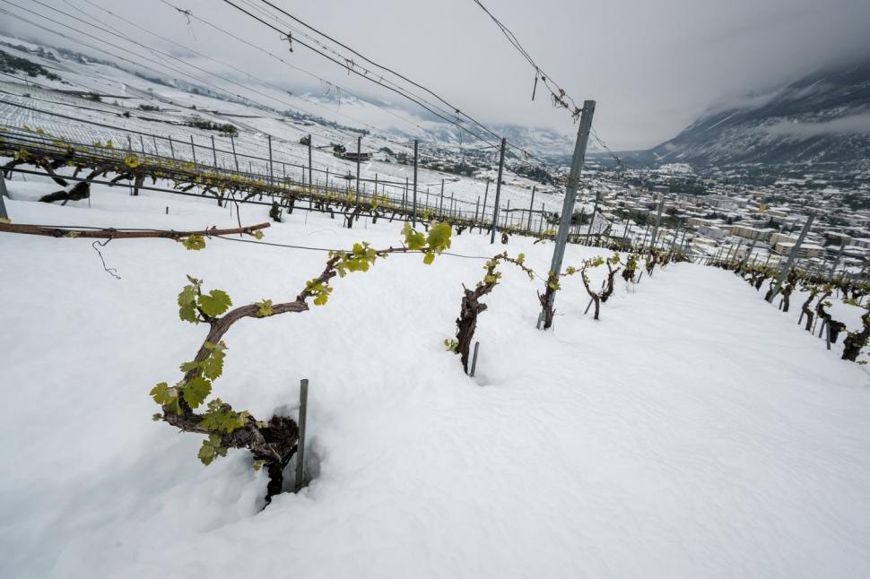 E zăpadă de un metru în stațiunea elvețiană Zermatt. Turiștii care voiau să meargă acolo de Paște, sfătuiți să amâne vacanța 966004