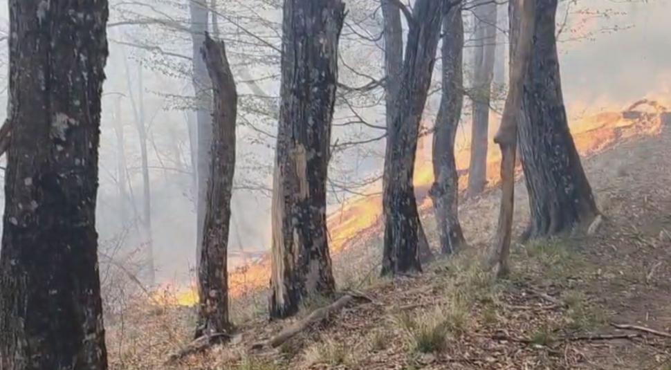 Incendiu de vegetaţie în Argeş. Comitetul pentru Situaţii de Urgenţă a fost activat şi se intervine cu elicopterul Black Hawk de la MAI 966145