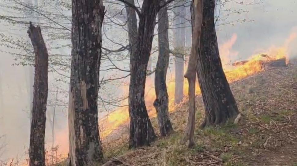 Incendiu de vegetaţie în Argeş. Comitetul pentru Situaţii de Urgenţă a fost activat şi se intervine cu elicopterul Black Hawk de la MAI 966146