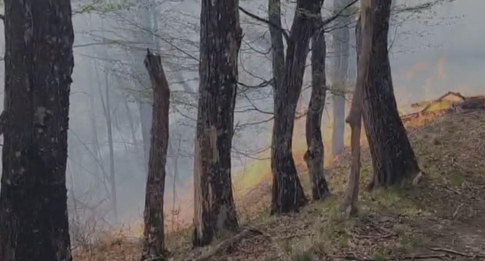 Incendiu de vegetaţie în Argeş. Comitetul pentru Situaţii de Urgenţă a fost activat şi se intervine cu elicopterul Black Hawk de la MAI 966147
