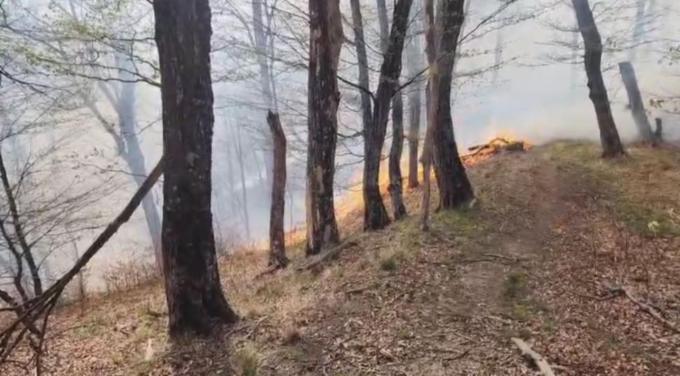 Incendiu de vegetaţie în Argeş. Comitetul pentru Situaţii de Urgenţă a fost activat şi se intervine cu elicopterul Black Hawk de la MAI 966148
