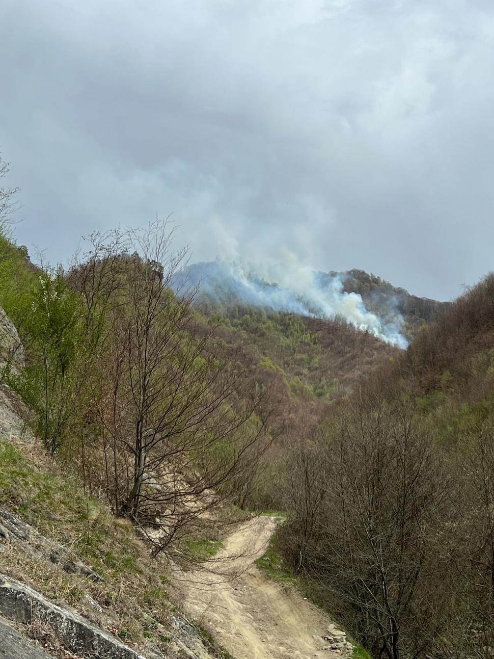 Incendiu de vegetaţie în Argeş. Comitetul pentru Situaţii de Urgenţă a fost activat şi se intervine cu elicopterul Black Hawk de la MAI 966149