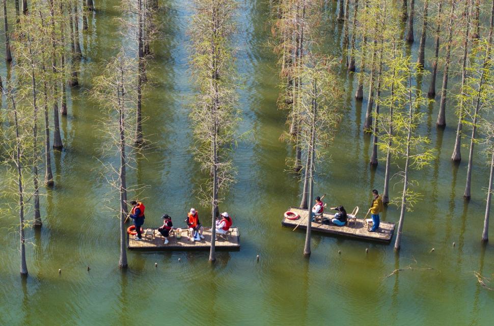 Imagini spectaculoase cu pădurea care plutește. Experiență turistică inedită printre copacii care cresc din apă 966434