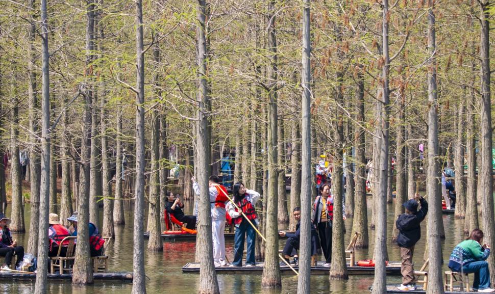 Imagini spectaculoase cu pădurea care plutește. Experiență turistică inedită printre copacii care cresc din apă 966435