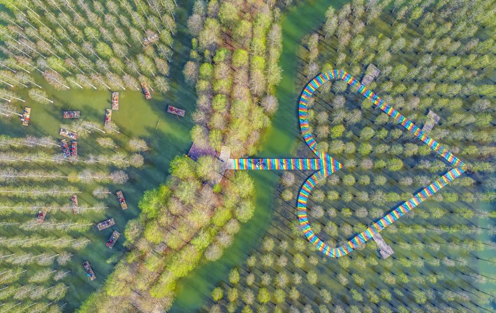 Imagini spectaculoase cu pădurea care plutește. Experiență turistică inedită printre copacii care cresc din apă 966438