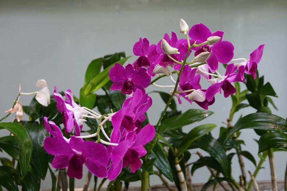 Secretul cel mai bine păstrat al Egiptului. Povestea unuia dintre cele mai frumoase locuri din Cairo și legătura cu un star de cinema 966545