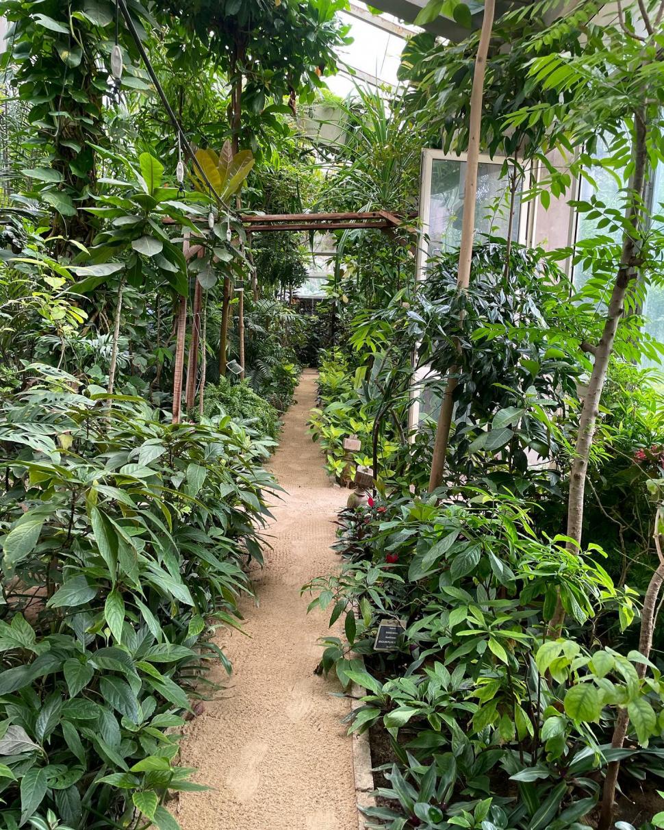 Secretul cel mai bine păstrat al Egiptului. Povestea unuia dintre cele mai frumoase locuri din Cairo și legătura cu un star de cinema 966546