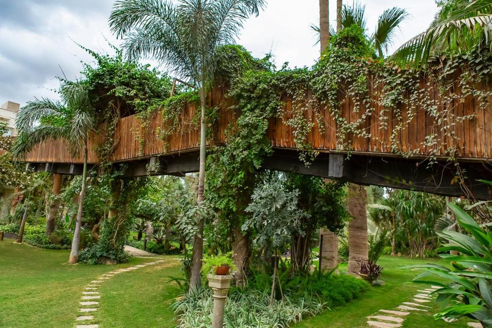 Secretul cel mai bine păstrat al Egiptului. Povestea unuia dintre cele mai frumoase locuri din Cairo și legătura cu un star de cinema 966553