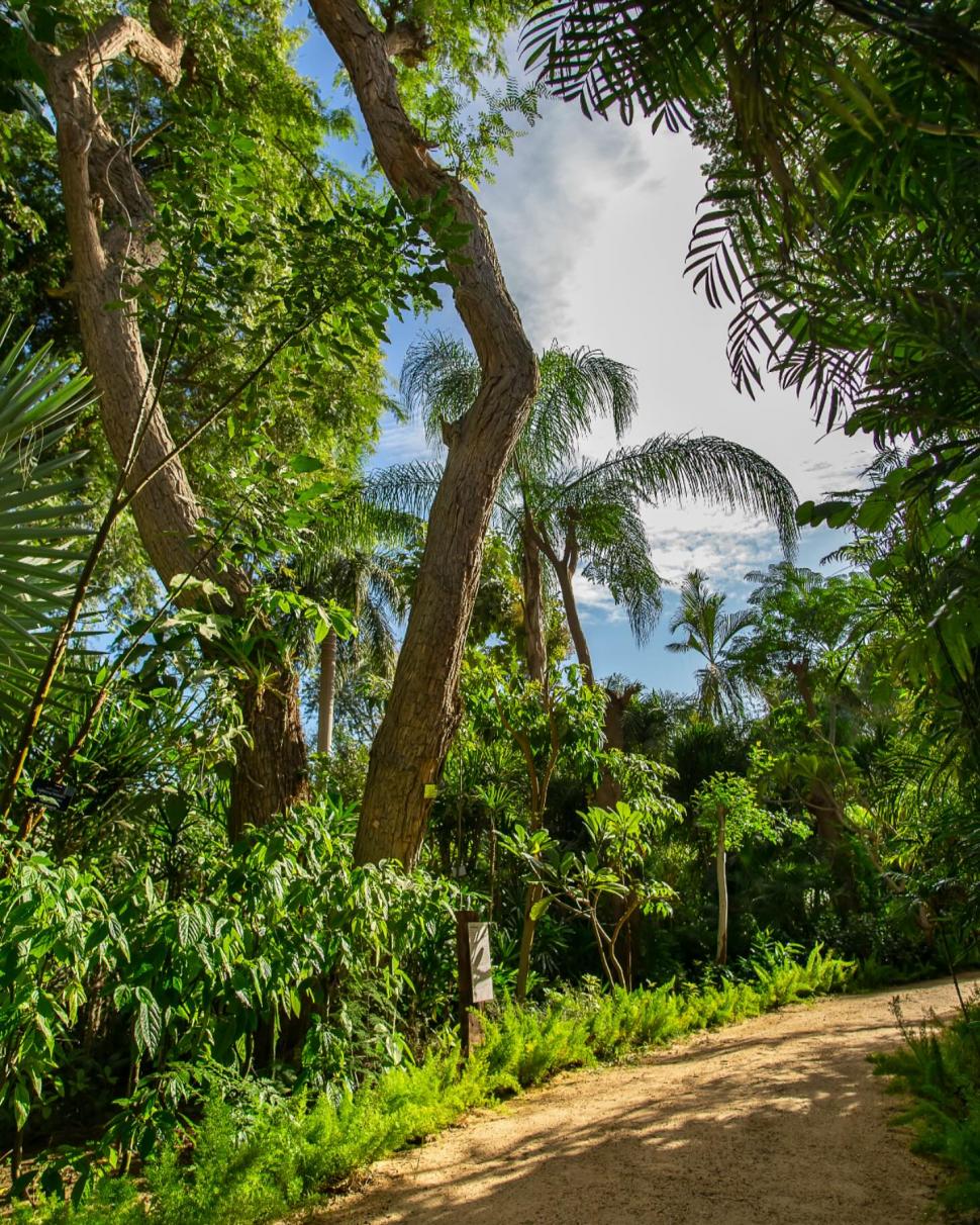 Secretul cel mai bine păstrat al Egiptului. Povestea unuia dintre cele mai frumoase locuri din Cairo și legătura cu un star de cinema 966555