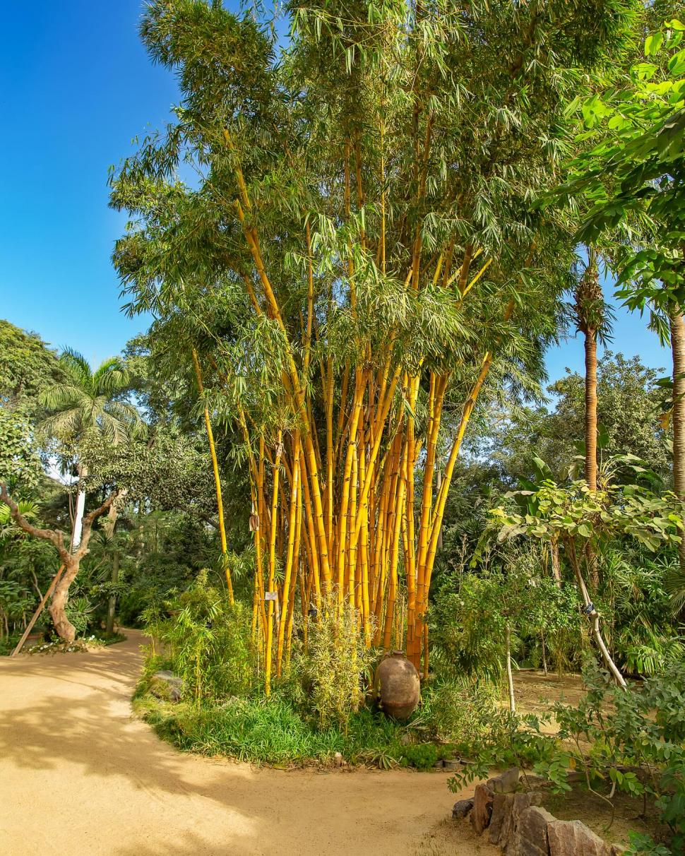 Secretul cel mai bine păstrat al Egiptului. Povestea unuia dintre cele mai frumoase locuri din Cairo și legătura cu un star de cinema 966556