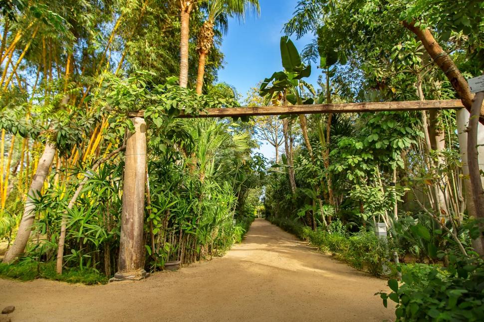 Secretul cel mai bine păstrat al Egiptului. Povestea unuia dintre cele mai frumoase locuri din Cairo și legătura cu un star de cinema 966557