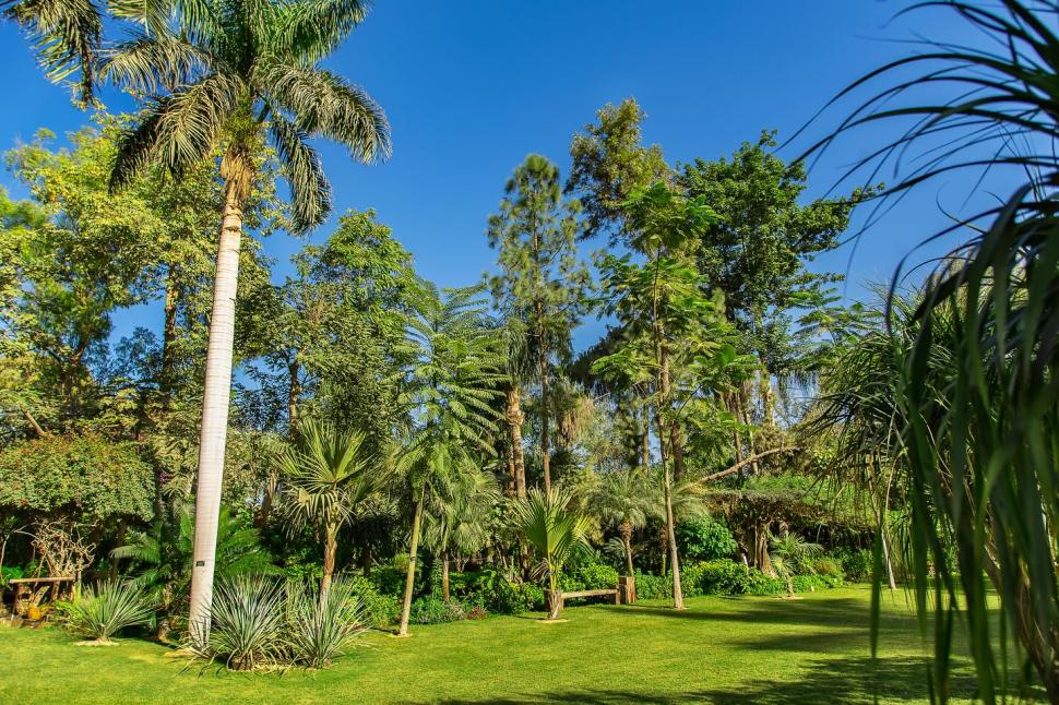 Secretul cel mai bine păstrat al Egiptului. Povestea unuia dintre cele mai frumoase locuri din Cairo și legătura cu un star de cinema 966559