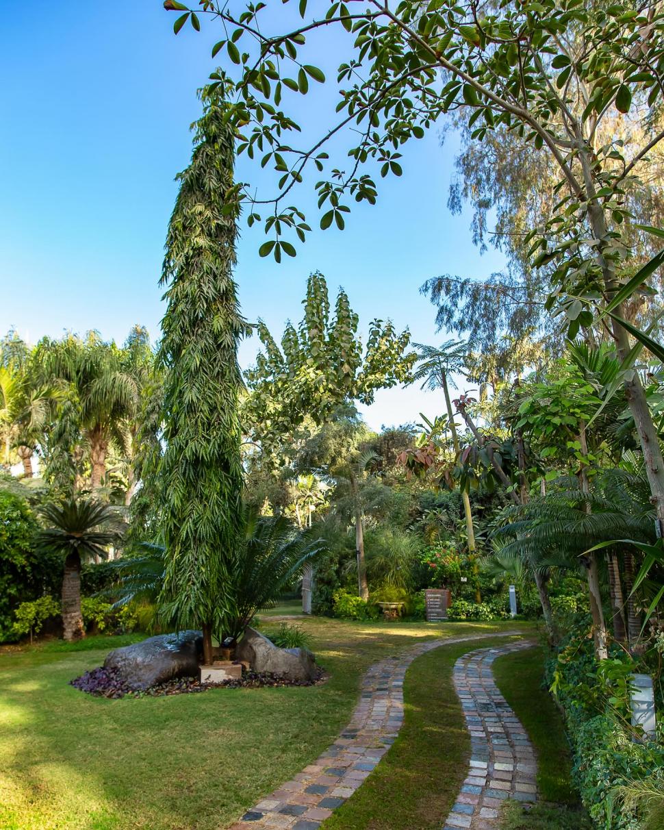 Secretul cel mai bine păstrat al Egiptului. Povestea unuia dintre cele mai frumoase locuri din Cairo și legătura cu un star de cinema 966560