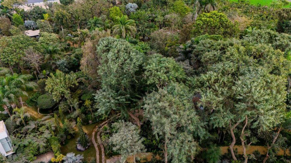 Secretul cel mai bine păstrat al Egiptului. Povestea unuia dintre cele mai frumoase locuri din Cairo și legătura cu un star de cinema 966561