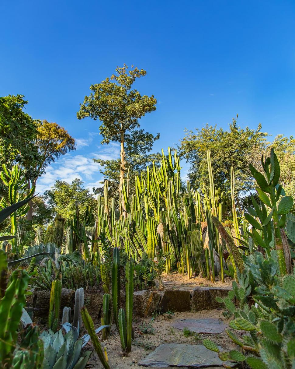 Secretul cel mai bine păstrat al Egiptului. Povestea unuia dintre cele mai frumoase locuri din Cairo și legătura cu un star de cinema 966562