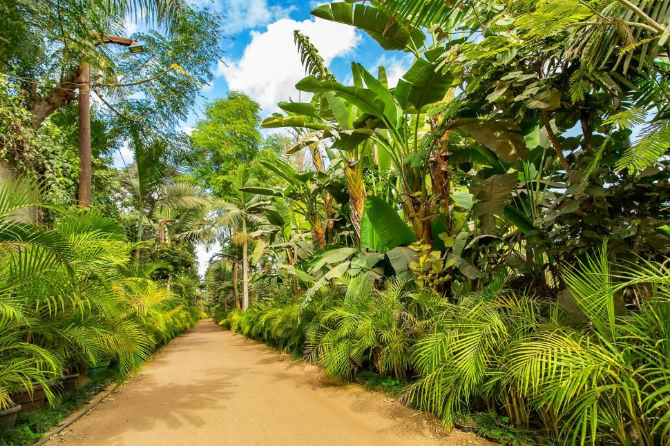 Secretul cel mai bine păstrat al Egiptului. Povestea unuia dintre cele mai frumoase locuri din Cairo și legătura cu un star de cinema 966563