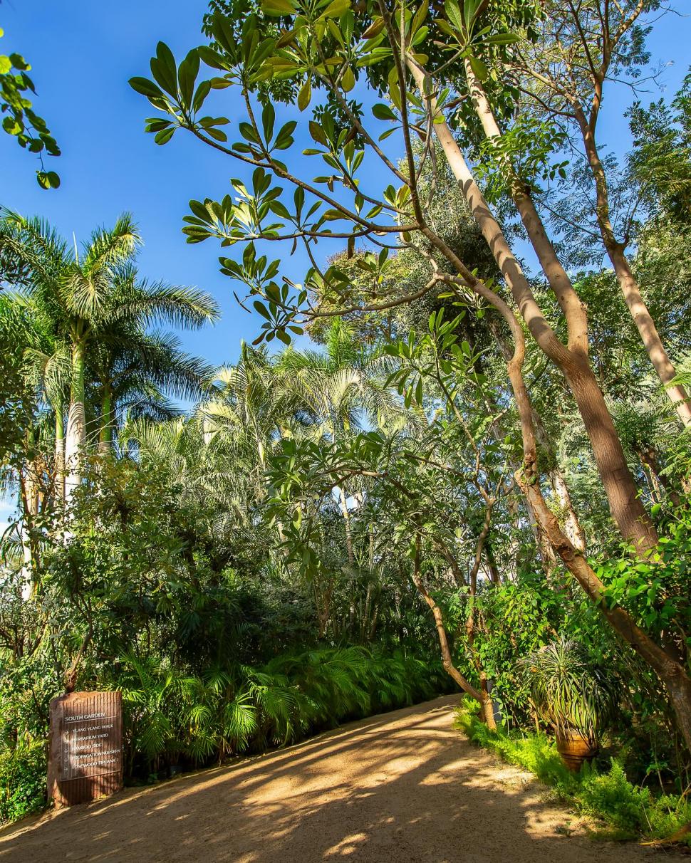 Secretul cel mai bine păstrat al Egiptului. Povestea unuia dintre cele mai frumoase locuri din Cairo și legătura cu un star de cinema 966564