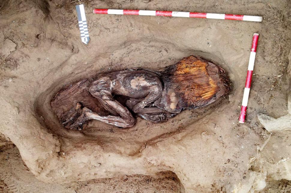 Descoperire arheologică rară, într-o fostă groapă de gunoi: A fost găsit mormântul unei tinere de rang înalt din civilizația Caral 967820